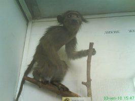 В погоне за лайками: девушки, которые немного не в себе