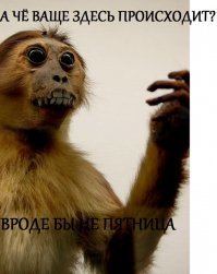 В погоне за лайками: девушки, которые немного не в себе