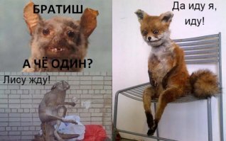 В погоне за лайками: девушки, которые немного не в себе