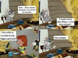 Комментарии, соцсети и другие приколы