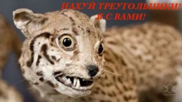 В погоне за лайками: девушки, которые немного не в себе