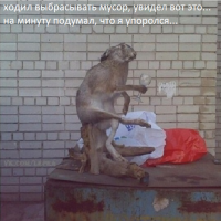 В погоне за лайками: девушки, которые немного не в себе