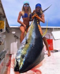 Какие-то девки непропорциональные, на инопланетянина похожи :)