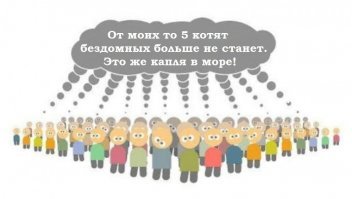 Да вы что? Правда? Ну давайте порассуждаем. Год назад я подобрала котенка, крошечного, едва ли месячного: нерадивые хозяева оставили пару котят на остановке у дороги, не удосужились даже посадить их в коробку. Как результат - одного котенка раздавила машина, размазала по дороге, второго (точнее, вторую) - я успела забрать. Котенок был чистый, ухоженный, сразу пошел в лоток, так что родился явно не на улице. Сейчас Смоки уже почти год, в следующем месяце планируем ее кастрировать, потому что я не хочу плодить смерть. 

Так вот, смотрите, кто-то ведь этих котят наплодил, не смог пристроить и сбагрил приплод на улицу (и обрек котенка на страшную смерть под колесами машины). Здесь котят было всего лишь двое, но ни Смоки, ни второй, погибший, котенок не дадут потомство. 
Но предположим, что ситуация сложилась бы по-другому: этих котят выбросили, каким-то чудом они сумели выжить, через год принесли потомство (скажем, по 5 котят) и вот на улице, среди  бездомных прибавилось уже 10(!!!) кошек! А те в свою очередь опять дали потомство и количество бездомышей опять увеличилось... А все потому что кто-то поленился(или пожадничал?) кастрировать свою домашнюю кошку. 

Кто-то скажем "я не выбрасываю, мои все пристроены". Все верно, вы не выбрасываете, но где гарантия, что это не сделают новые хозяева? Разве те, кто пристраивает котят/щенят в "добрые руки" отслеживает судьбу всех котят/щенят из каждого помета? А их внуков и правнуков? У нас не принято отдавать потомство с договором под кастрацию и отслеживанием дальнейшей судьбы. Так сколько этих котят-щенят из них стали бездомными?
Вот и получается, что бездомные животные рождаются дома.