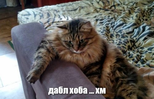 Необычное использование советской выжималки для белья