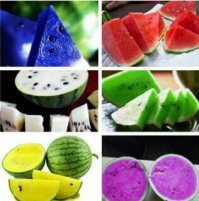 что тут редкого-то? Тупо неспелый - косточки белы.
И - это у нас арбузы примерно одинаковые, а вообще они самых разных цветов бывают (ну, когда спелые, а не такое, как на снимке).