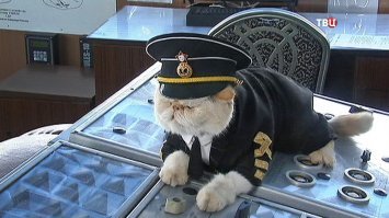 Это не они такие красивые, это она их украшает