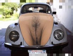 Автовсячина. Volkswagen Beetle