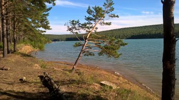 Задельное с высоты