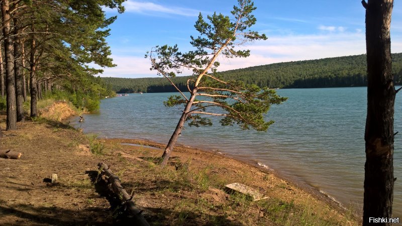 Задельное с высоты