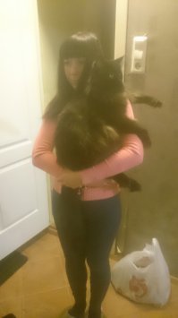 Да,коты моя слабость,завёл слона 5 лет назад,породы мейн кун,он теперь меня охраняет ....подруга на руках держит,наглый жуть)))