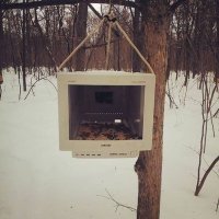 "21-дюймовый дисплей для птиц.." Школота! Это были 15 дюймов сверхчерного и сверхплоского экрана! Предмет гордости сисадмина!