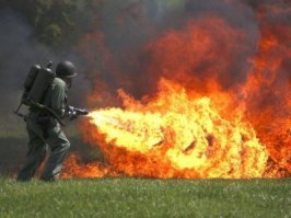 25 пугающих фотографий, доказывающих, что природа может быть по-настоящему страшной