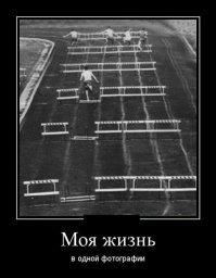 Ну, тут хотя бы напраление верное. Вот если бы он до кучи еще и бежал бы в обратную сторону... :)