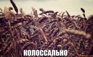 Инновационный автовертолёт из Альметьевска