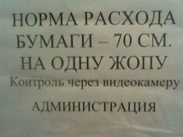 Россиян научат экономить туалетную бумагу