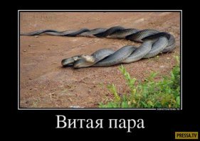 Свежая подборка демотиваторов, которые поднимут вам настроение