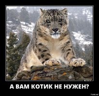 Свежая подборка демотиваторов, которые поднимут вам настроение