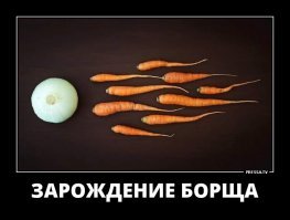 Человек зарождается аналогично