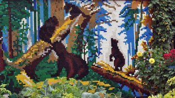 Купили бутылку? Не выбрасывайте крышку!