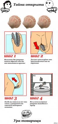 Россиян научат экономить туалетную бумагу