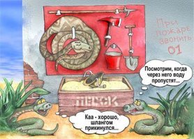 Триумф пожарного шланга