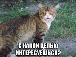 Рыбная мафия