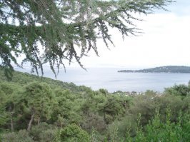 Турки этим гордятся.