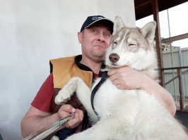 20 фотографий собак, владельцы которых задокументировали их превращение из щенков во взрослых псов