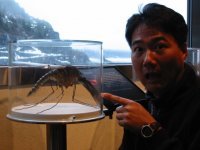 Это же наш типичный комар-сибиряк!
Его разновидность можно встретить в Челябинске