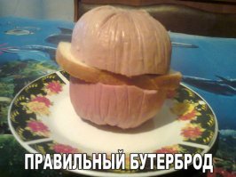 Наслаждение между булок