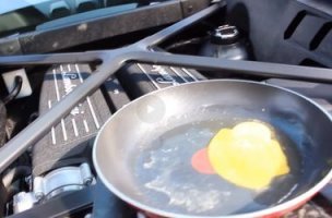 Любой каприз за ваши деньги: частная авиакомпания рассказала о самых безумных просьбах клиентов