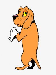 Дружба двух собак тронула сердца людей по всему миру