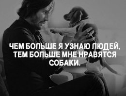 Дружба двух собак тронула сердца людей по всему миру