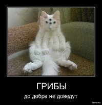 Подборка автомобильных приколов