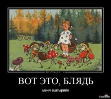 Подборка автомобильных приколов