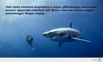 как-то так... ))