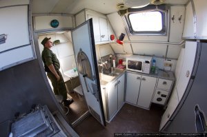 Неожиданная находка в лесу