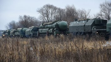 Неожиданная находка в лесу