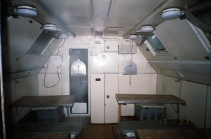 Неожиданная находка в лесу