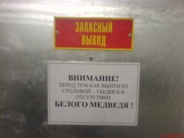 Гифки дня