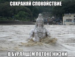 Принципы разумного, благородного человека