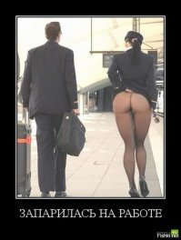 Любой каприз за ваши деньги: частная авиакомпания рассказала о самых безумных просьбах клиентов