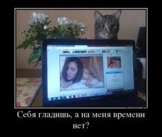 Любители порно рассказали о самых смешных сюжетах