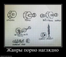 Любители порно рассказали о самых смешных сюжетах