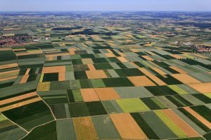 Я всегда догадывался...