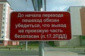 Авария дня. Когда собака умнее своей хозяйки