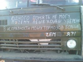 Авария дня. Когда собака умнее своей хозяйки