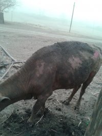 Ад в Забайкалье в 2013 году......