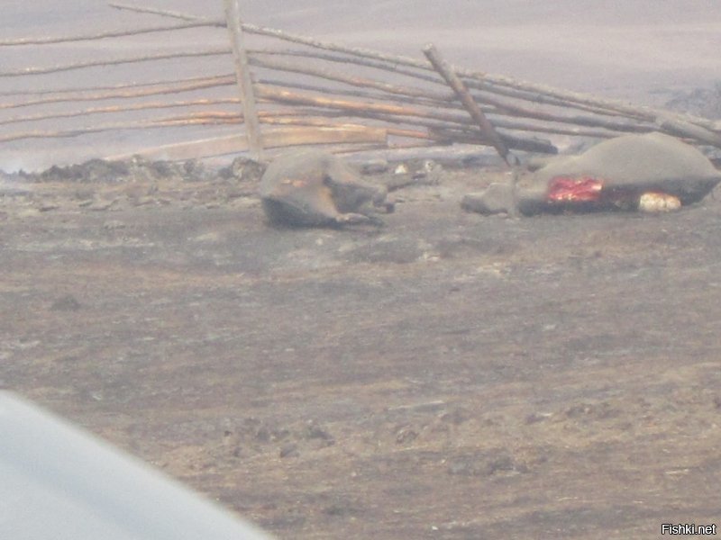 Ад в Забайкалье в 2013 году......